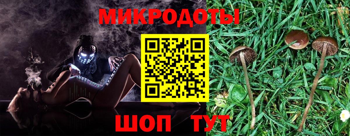 Галлюциногенные грибы MAGIC MUSHROOMS Чебаркуль