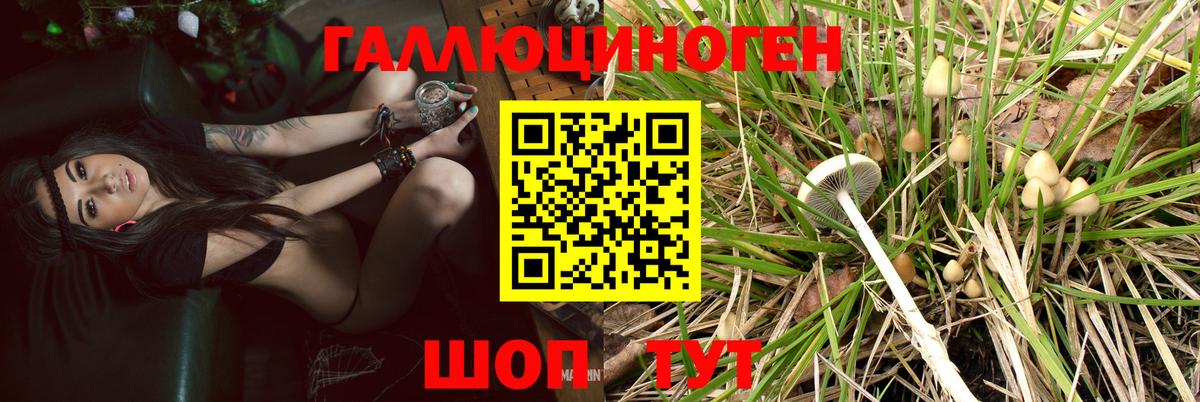 Галлюциногенные грибы мицелий  купить   Чебаркуль  Вход с VPN 